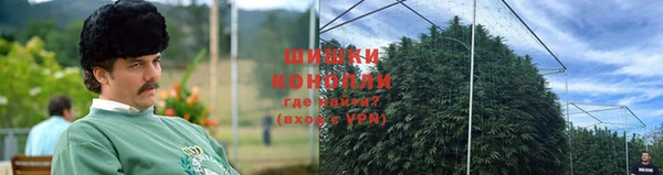 гидропоника Нея