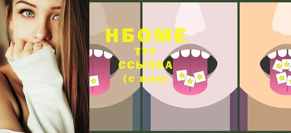 хмурый Новозыбков