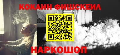 СК Гатчина