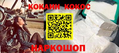 СК Гатчина