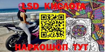 СК Гатчина
