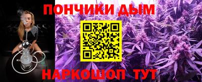 СК Гатчина