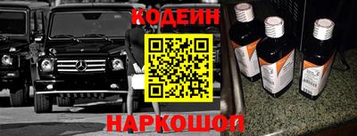 СК Гатчина