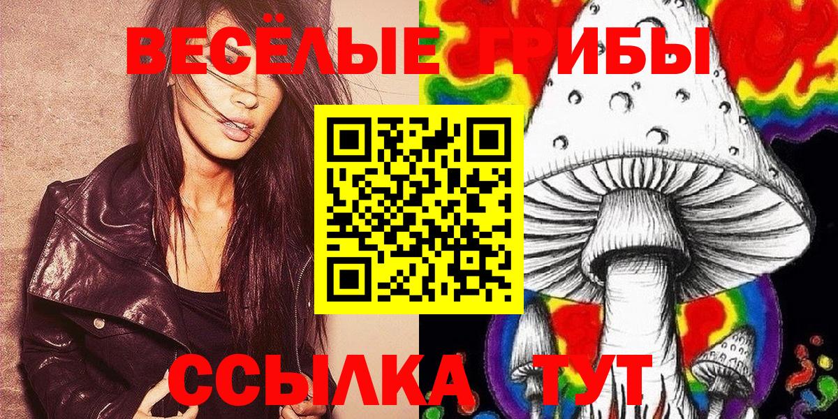 как найти   Галлюциногенные грибы мухоморы  Лангепас  Вход с VPN  Псилоцибиновые грибы MAGIC MUSHROOMS 